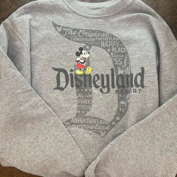 Disneyland sweatshirt - Picture 1 of 5